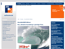 Tablet Screenshot of msfenster.de